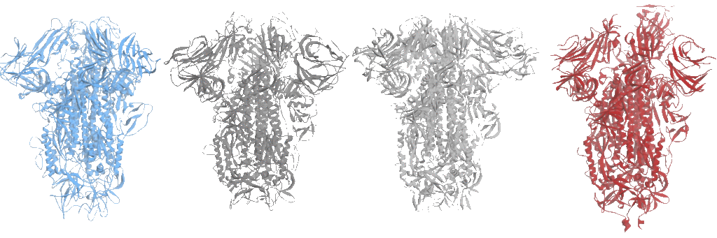 SPIKE AND CAPSID PROTEINS